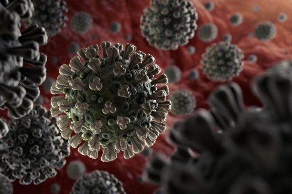 Virus and communicable disease control in the light of Teaching of Prophet Muhammad (PBUH)